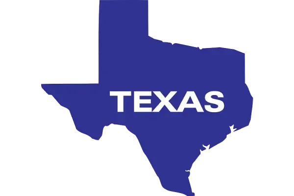 Texas , the usa state that favours the start ups in formation of company in the USA.